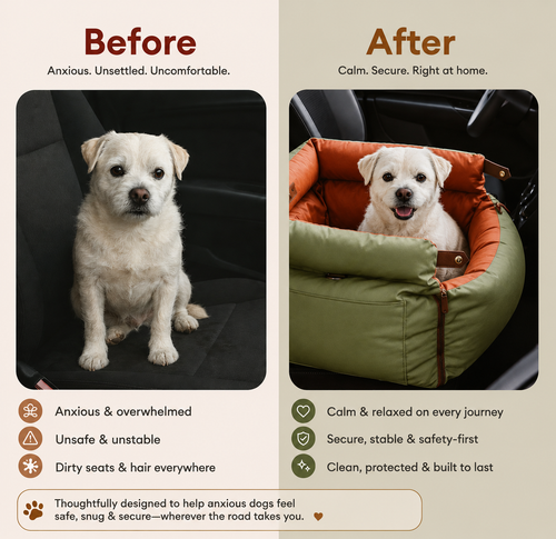 Anxiety-Reducing Dog Travel Bed